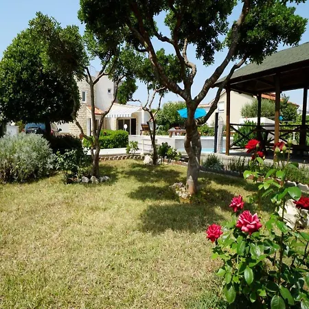 Luxurious In With Swimming Pool *